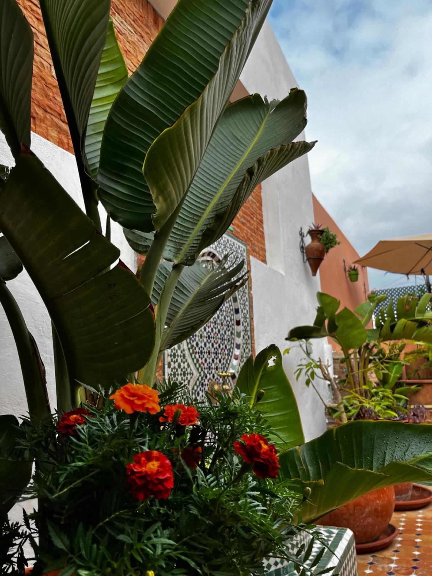 Casa Indigo Hotel Rabat Bagian luar foto